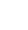 American Board of Plastic Society logo